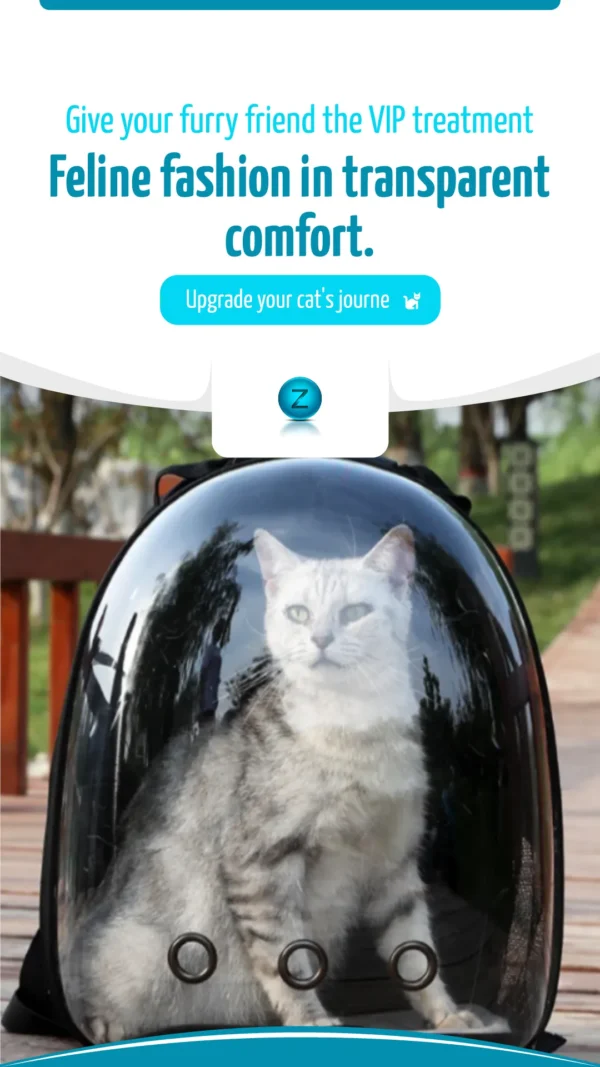 A transparent cat backpack with a furry feline peeking out, showcasing the comfort and style of Cat Bags for pet travel adventures.